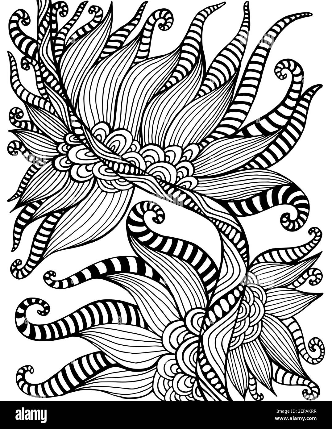 Page de coloriage noir et blanc de motif floral bohème ornemental. Élément décoratif de style caniche abstrait, isolé sur fond blanc. Main vectorielle Illustration de Vecteur