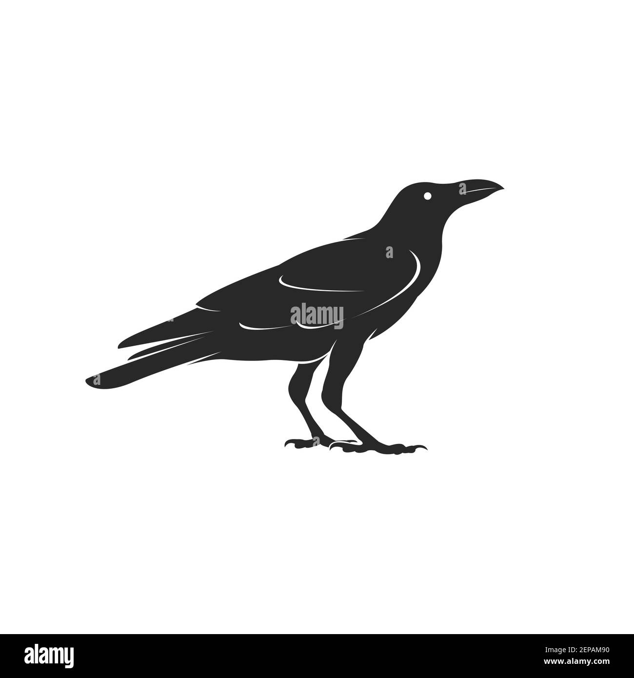 Vecteur de conception de corbeau isolé sur fond blanc. Illustration vectorielle superposée facile à modifier. Oiseaux noirs. Animaux sauvages. Illustration de Vecteur