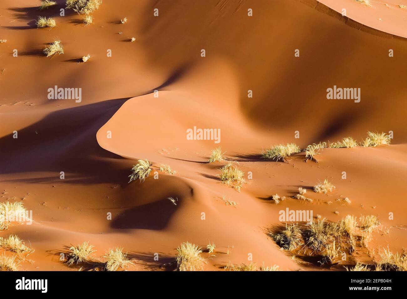 Abstrait structuré dunes namib Banque D'Images