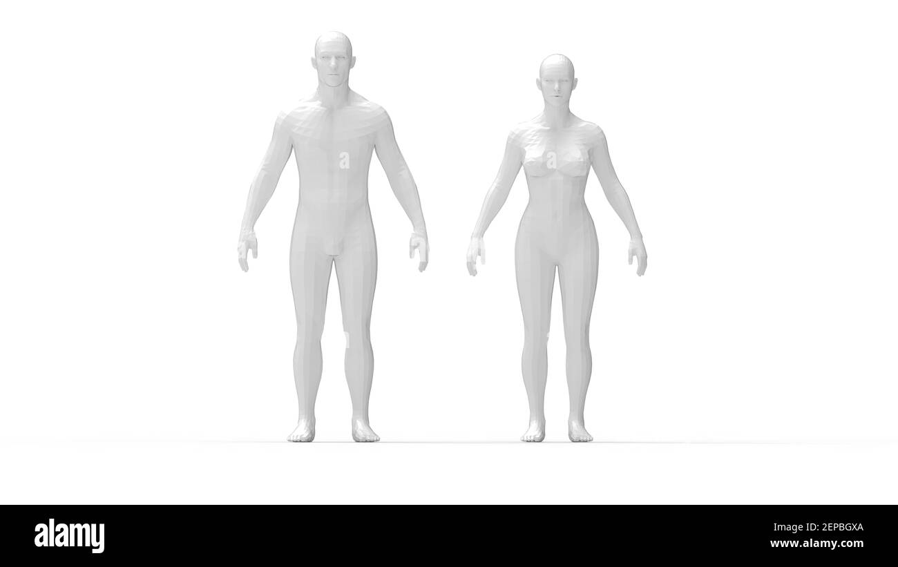 Figure anatomique d'un homme Banque de photographies et d’images à ...
