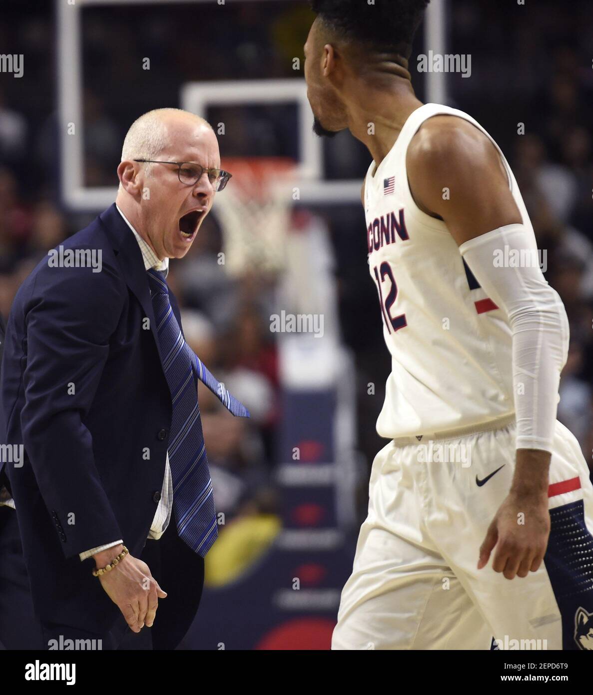 Storrs, CT - 12/4/19 - Dan Hurley, entraîneur-chef de Connecticut Huskies, se met à feu au pavillon de Gampel mercredi soir. UCONN a gagné le jeu 80-62. (Photo de Brad Horrigan/Hartford courant/TNS/Sipa USA) Banque D'Images