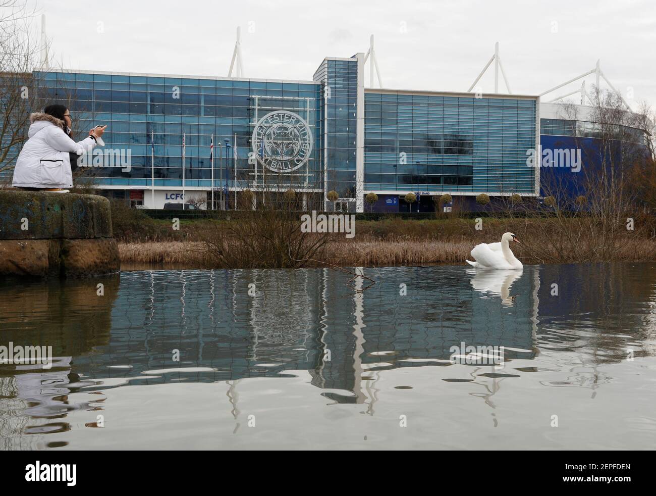 Leicester, Leicestershire, Royaume-Uni. 22 février 2021. Une femme photographie un cygne sur le fleuve qui s'envolent près du King Power Stadium, la maison de Leicester City. Banque D'Images