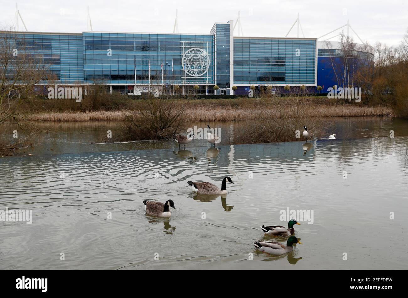 Leicester, Leicestershire, Royaume-Uni. 22 février 2021. Les canards et les oies nagent sur la rivière et s'envolent près du King Power Stadium, la maison de Leicester City. De la Banque D'Images