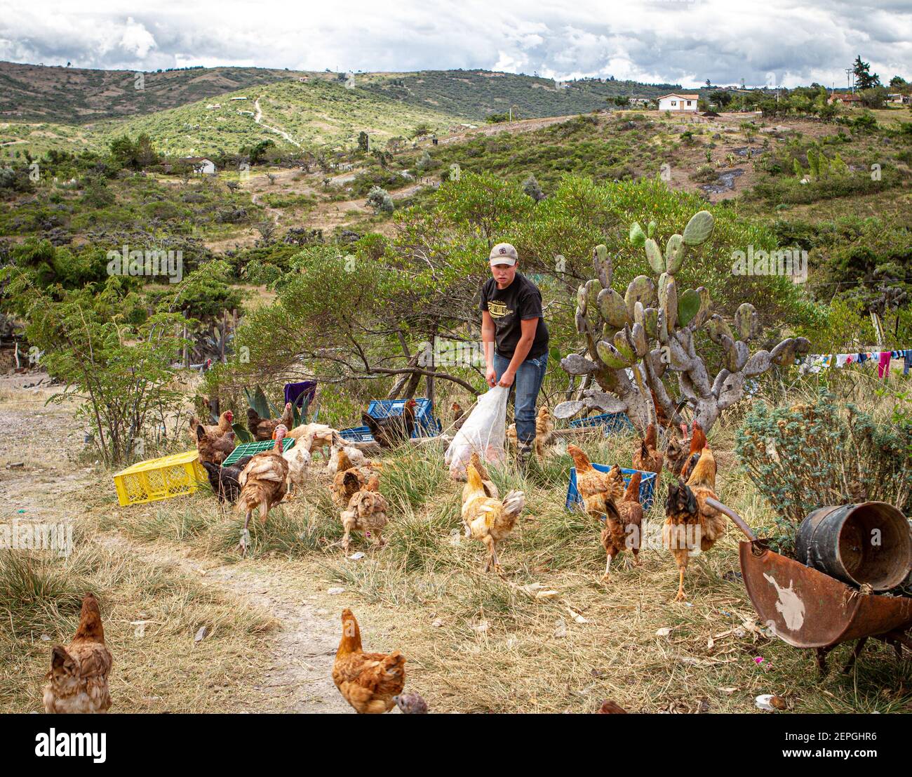 Femmes colombiennes éleveur de poulet. Nourrir les poulets.Villa de Leyva 500 ans vieille ville. Chaîne de montagnes. Boyaca, Colombie, Andes colombiennes, Amérique du Sud Banque D'Images