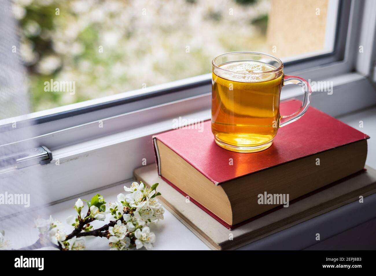 Tasse de thé sur des livres et branche fleurie au seuil de fenêtre. Détente au printemps. Vue de la vindow à l'arbre en fleurs Banque D'Images
