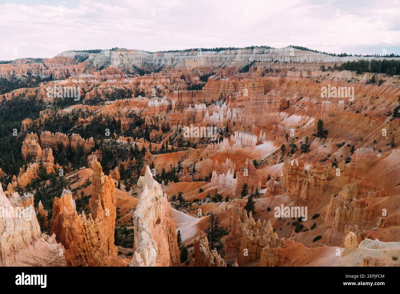 Valley of hoodoo Rocks au parc national de Bryce Canyon, Utah, lors d'une journée de roc. Banque D'Images