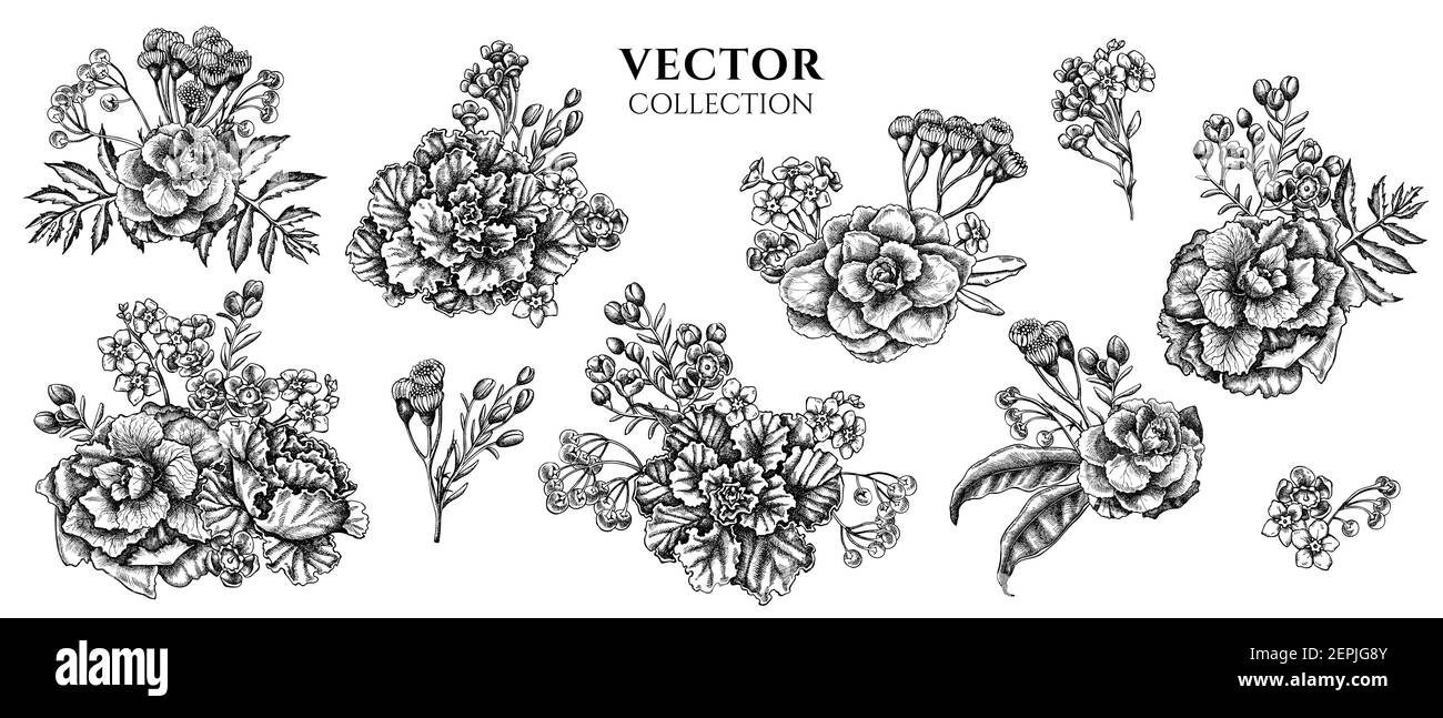 Bouquet de fleurs de cire noire et blanche, oubliez-moi pas fleur, tansy, ardisia, brassica, chou décoratif Illustration de Vecteur
