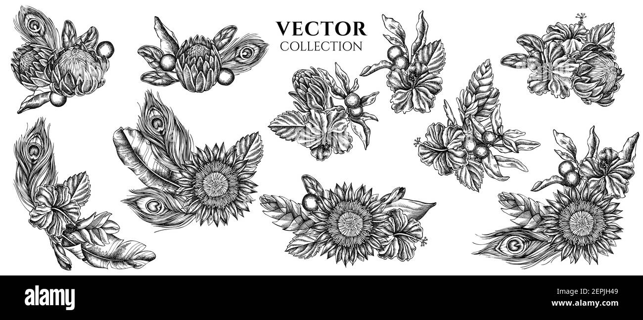 Bouquet de fleurs de feuilles de banane noir et blanc, hibiscus, solanum, broméliade, plumes de paon, protea Illustration de Vecteur