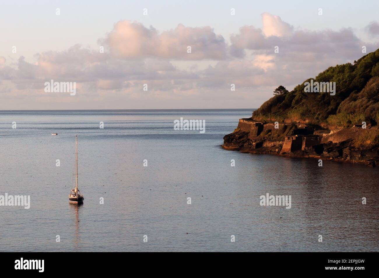 Canards sur la plage de Terceira Banque D'Images