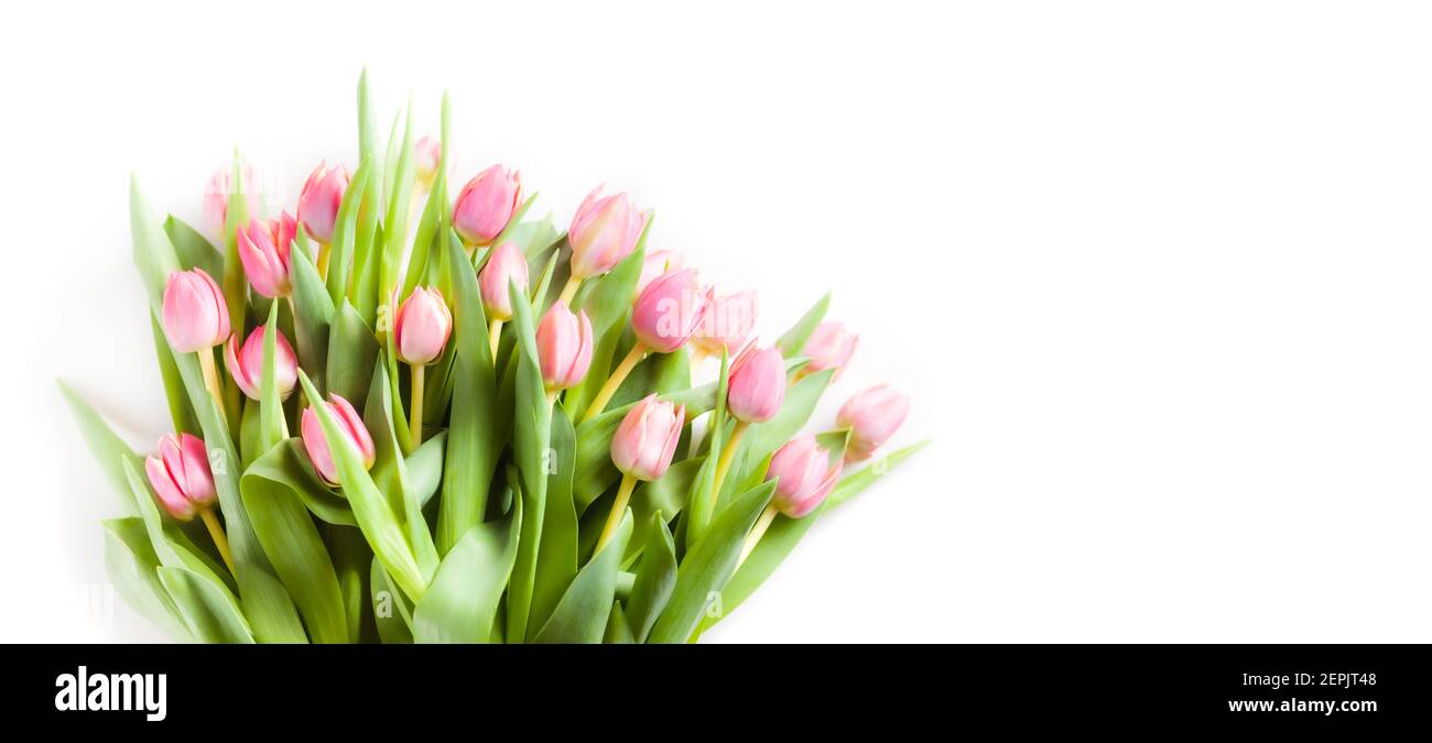 Beau bouquet de tulipes roses sur fond blanc Banque D'Images