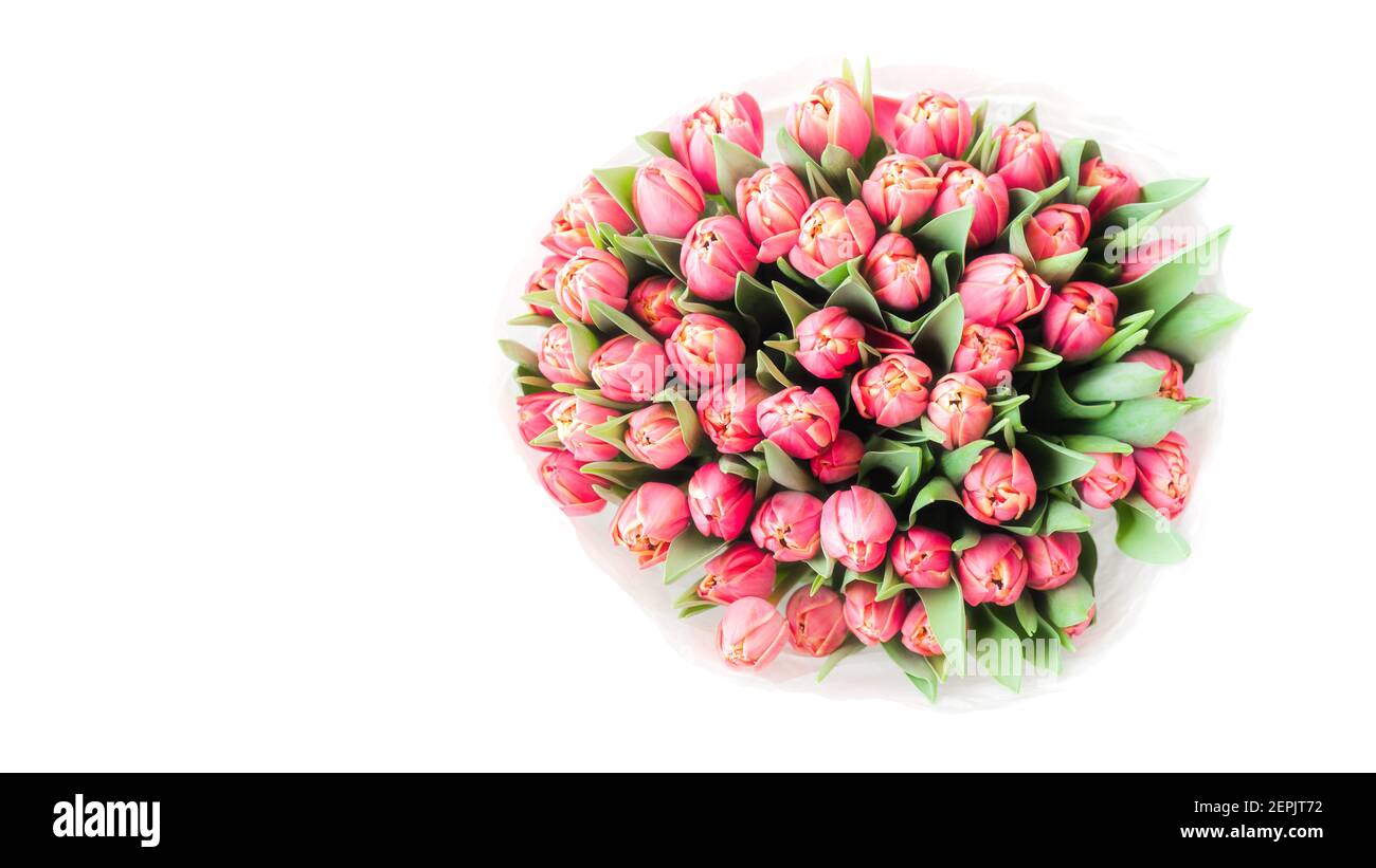 Magnifique bouquet de tulipes roses sur fond blanc, vue de dessus Banque D'Images
