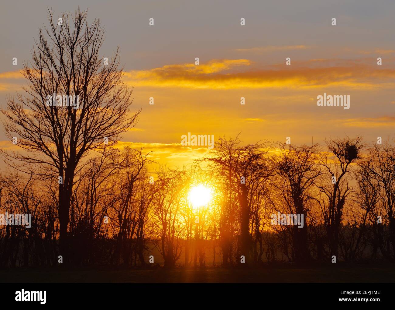 Coucher de soleil sur les champs dans le village de Markyate à Hertfordshire Banque D'Images