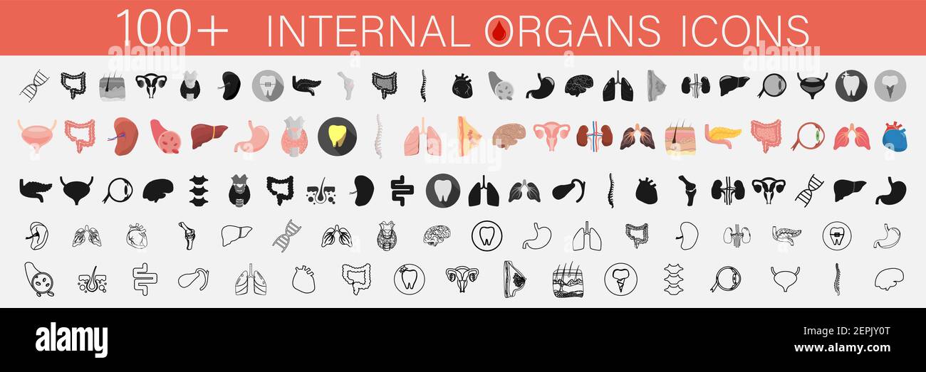 Ensemble d'icônes des organes internes et des parties de l'homme. Illustration de Vecteur