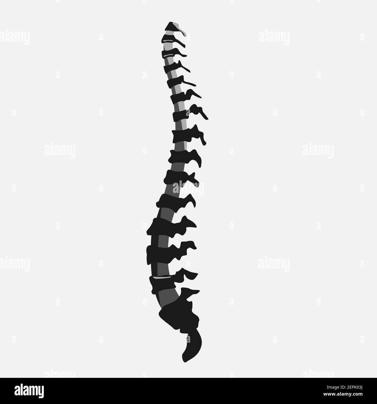 Icône des organes internes humains. Illustration de Vecteur