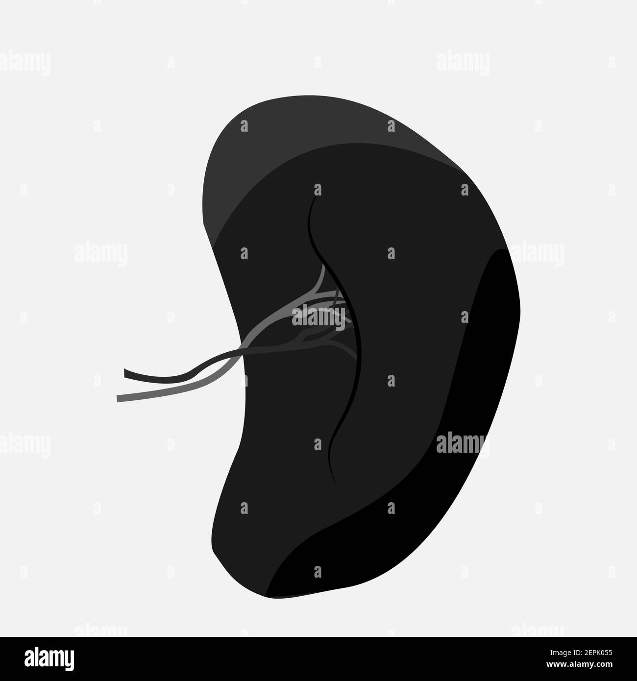 Icône des organes internes humains. Illustration de Vecteur