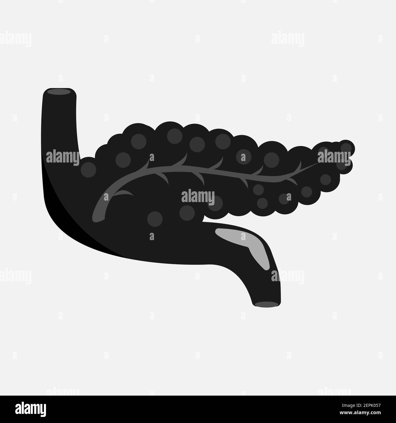 Icône des organes internes humains. Illustration de Vecteur