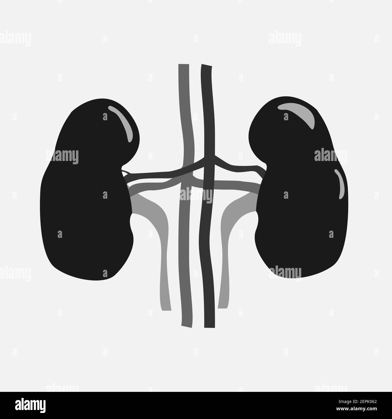 Icône des organes internes humains. Illustration de Vecteur