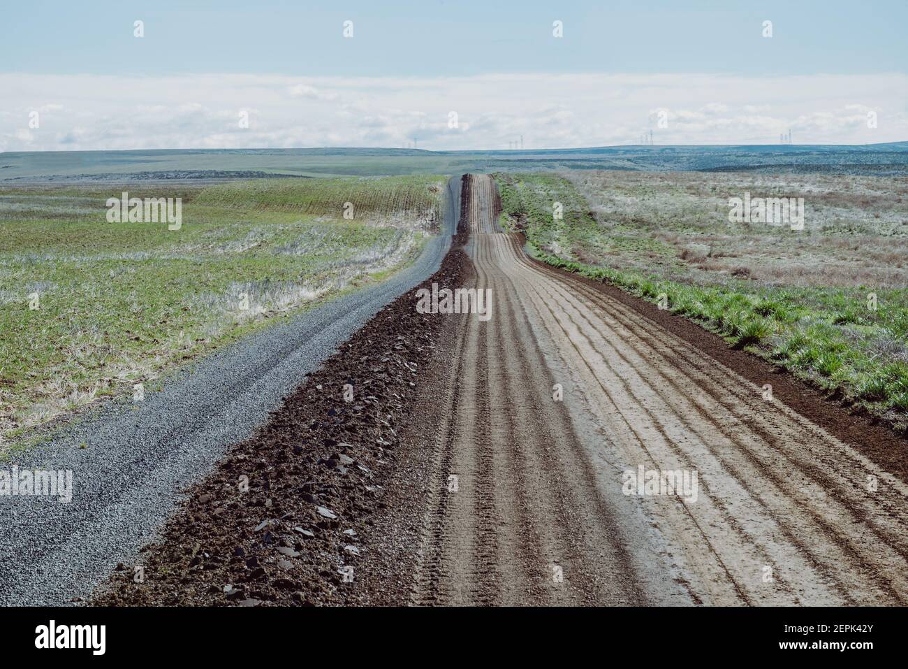 Chemin rural dans le comté de Grant, Washington. Banque D'Images