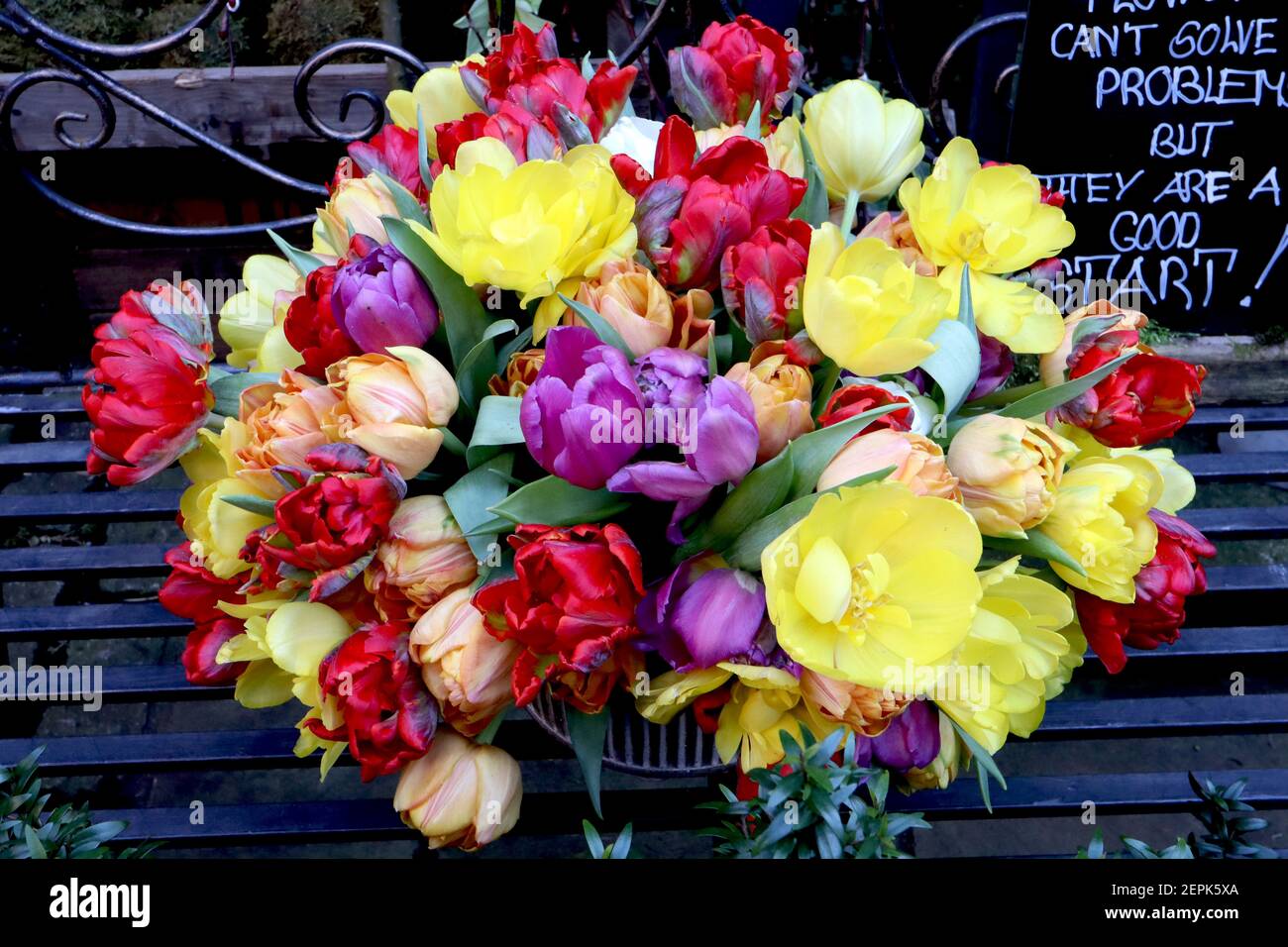 Tulipa bouquet / bouquet de tulipes mixtes Banque D'Images