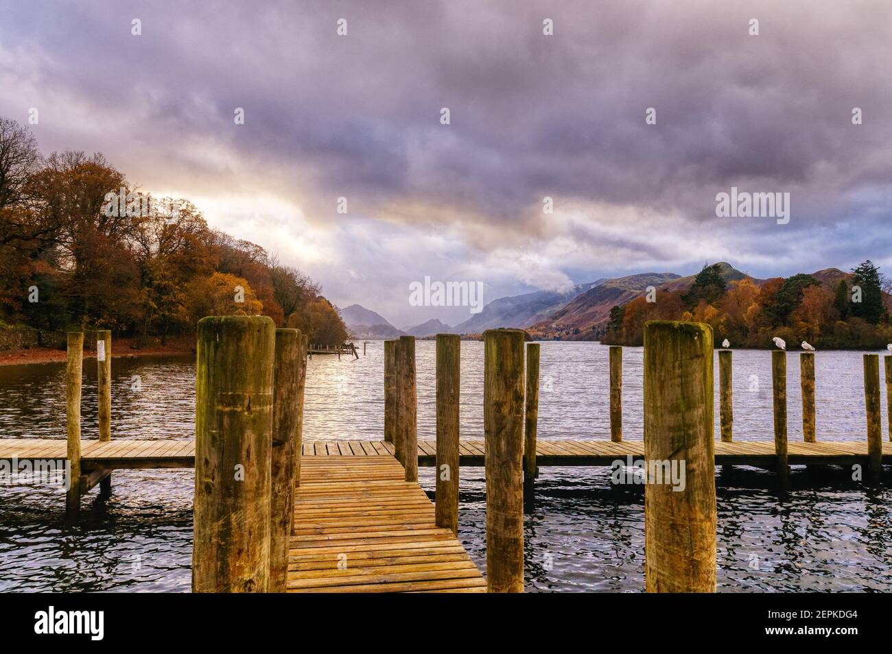 Une jetée sur Derwent Water dans le Lake District, Cumbria, Royaume-Uni Banque D'Images