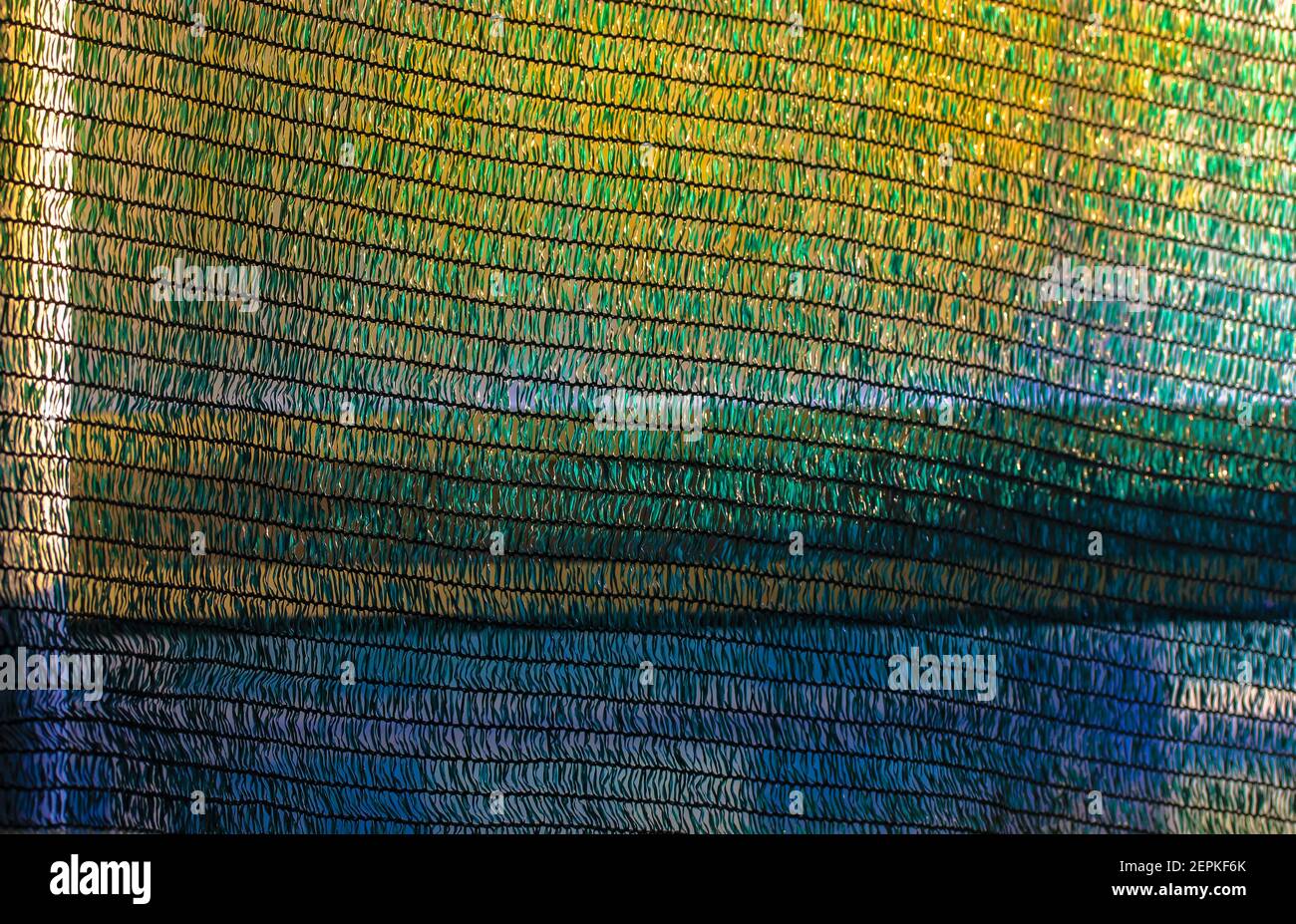 Fond en maille de polyéthylène tricoté jaune vert bleu. Échantillon de surface texturée de filet de teinte agro-solaire. Équipement de serre. Photo de haute qualité Banque D'Images