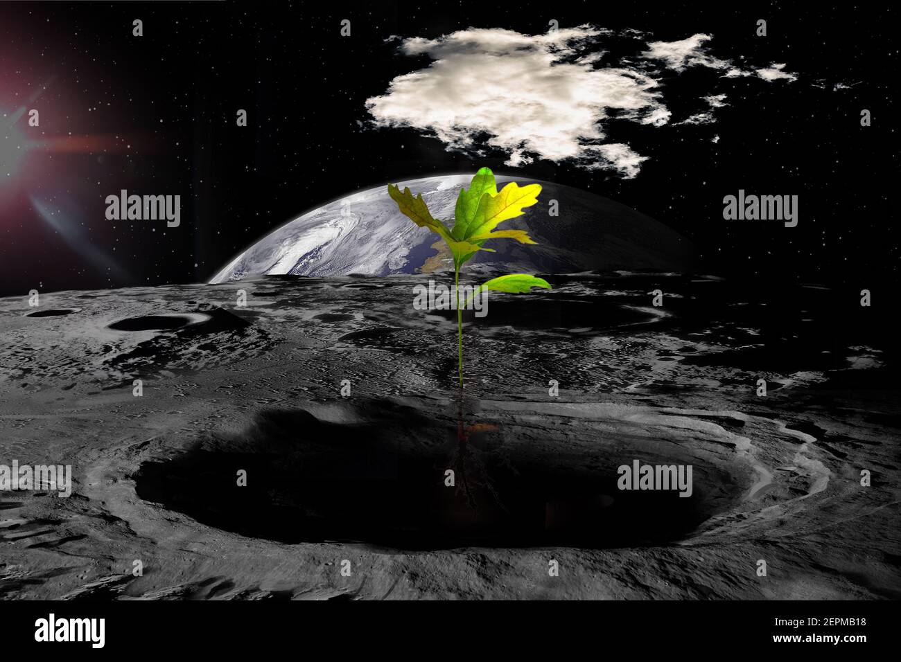 Colonisation de la Lune, tente de cultiver des arbres sur la surface lunaire. Collage SCI-fi, éléments de cette image fournis par la NASA. Banque D'Images