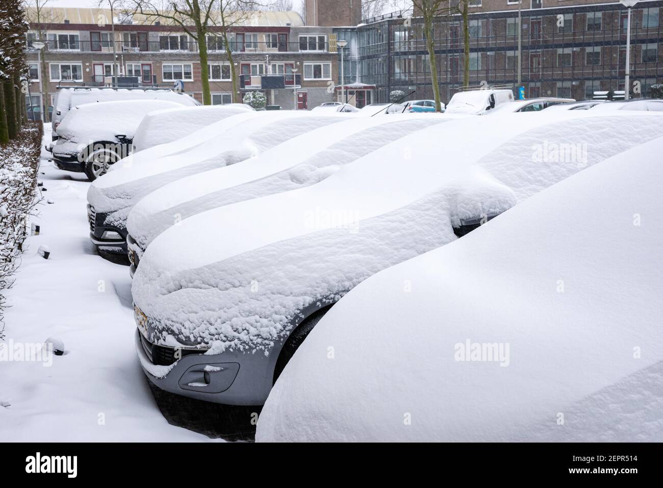 Les voitures sont recouvertes d'une épaisse couche de neige fraîche Banque D'Images
