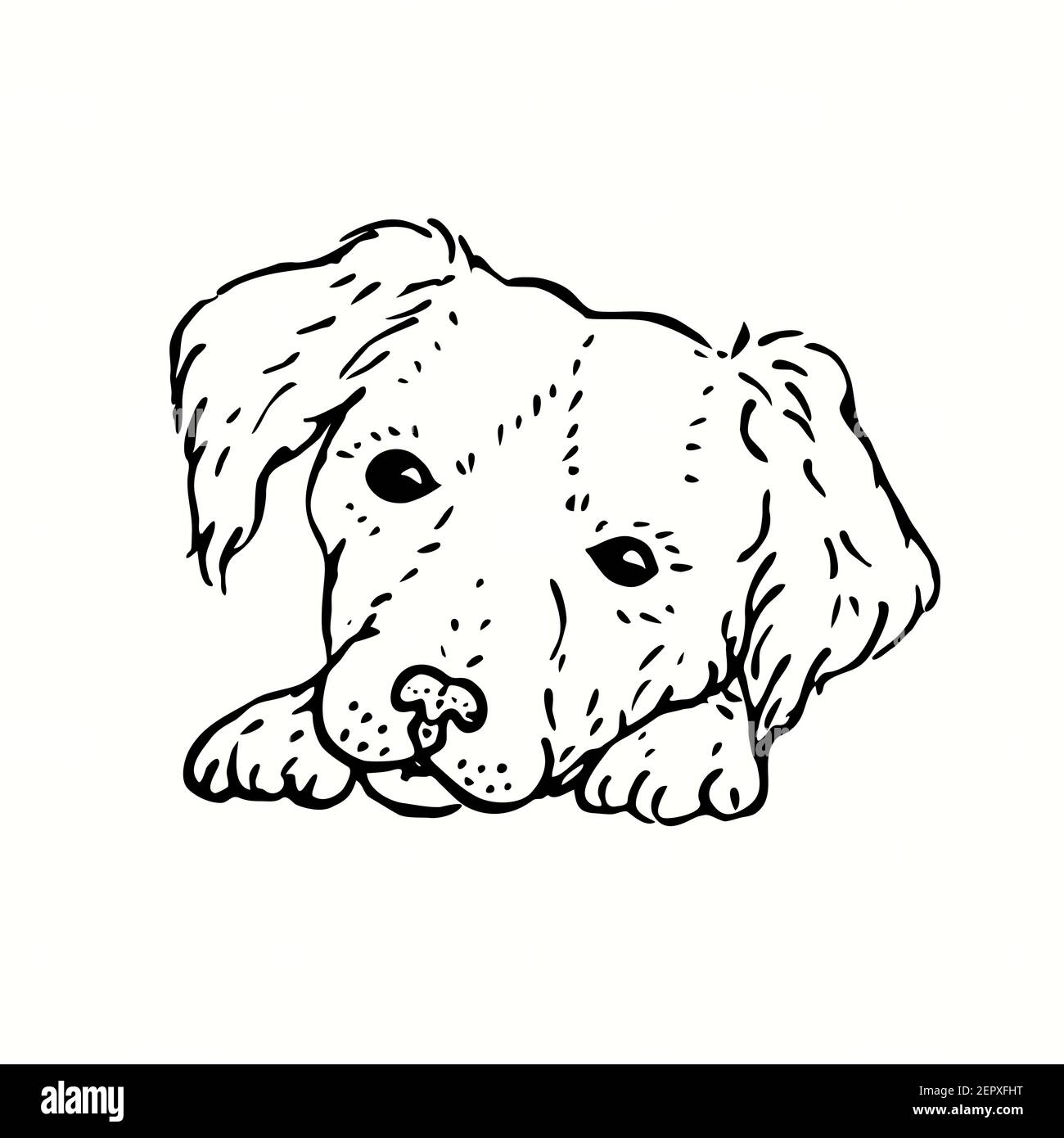 Chien mignon, assis, visage sur les pattes. Dessin noir et blanc. Banque D'Images