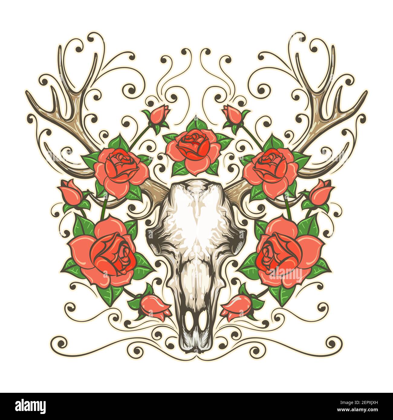 Crâne de cerf ou d'Antler dessiné à la main avec fleurs de rose isolées sur blanc. Tatouage style bohémien et taille basse. Illustration vectorielle Illustration de Vecteur