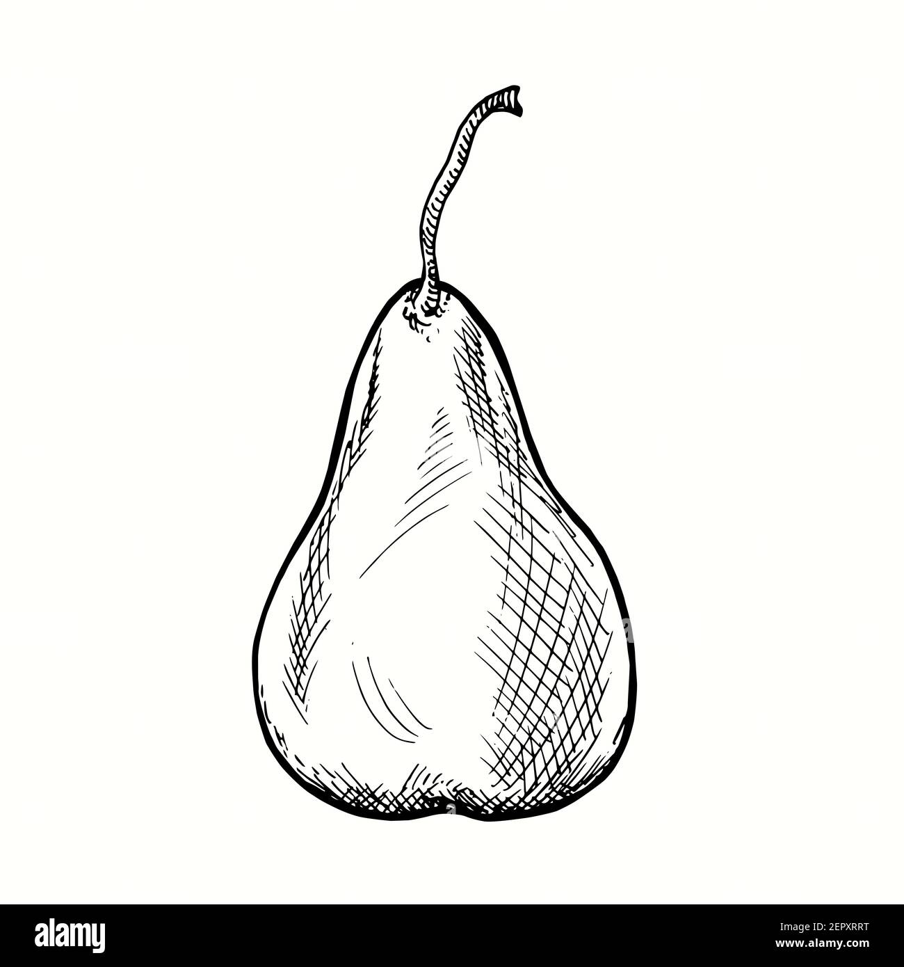 Poire dessinée à la main. Dessin noir et blanc. Banque D'Images