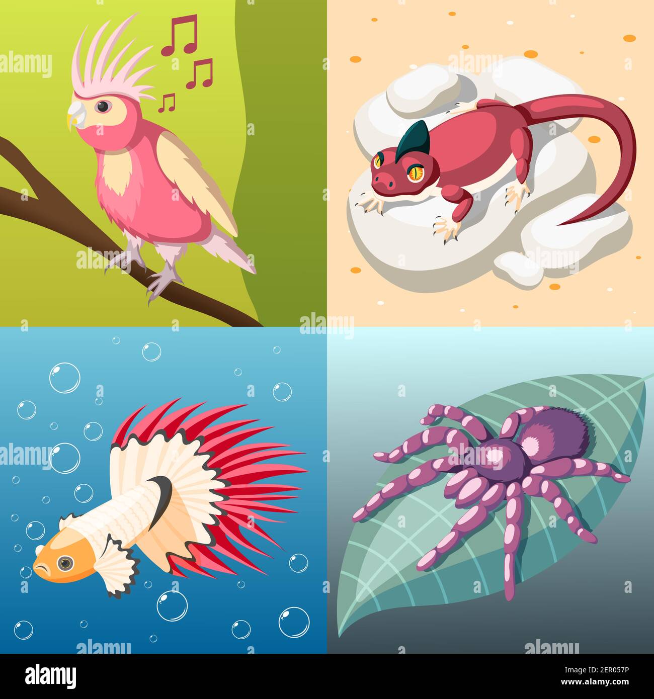 Animaux exotiques 2x2 concept ensemble de reptile insecte de poisson icônes carrées isométriques d'oiseau illustration vectorielle de dessin animé Illustration de Vecteur