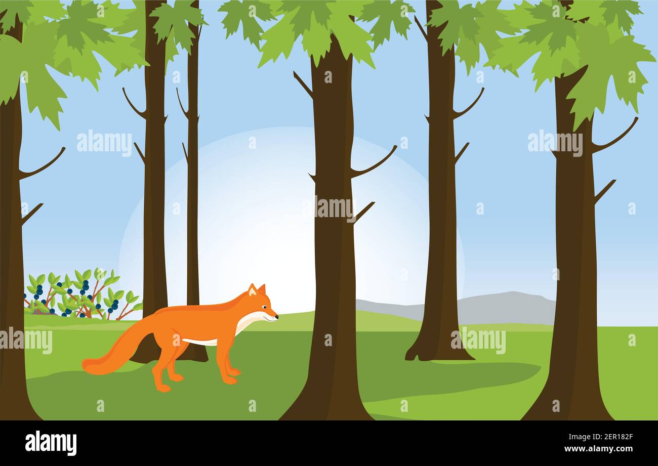 Illustration vectorielle vert paysage de forêt ensoleillé et rouge renard mignon. Arrière-plan de la forêt Illustration de Vecteur