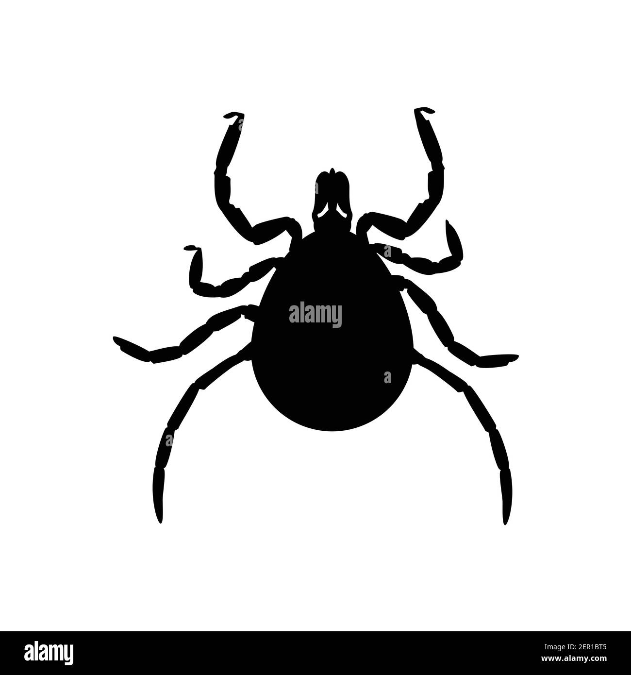Illustration vectorielle dangereuse parasite acarien silhouette noire. Icône Mite Skin Illustration de Vecteur