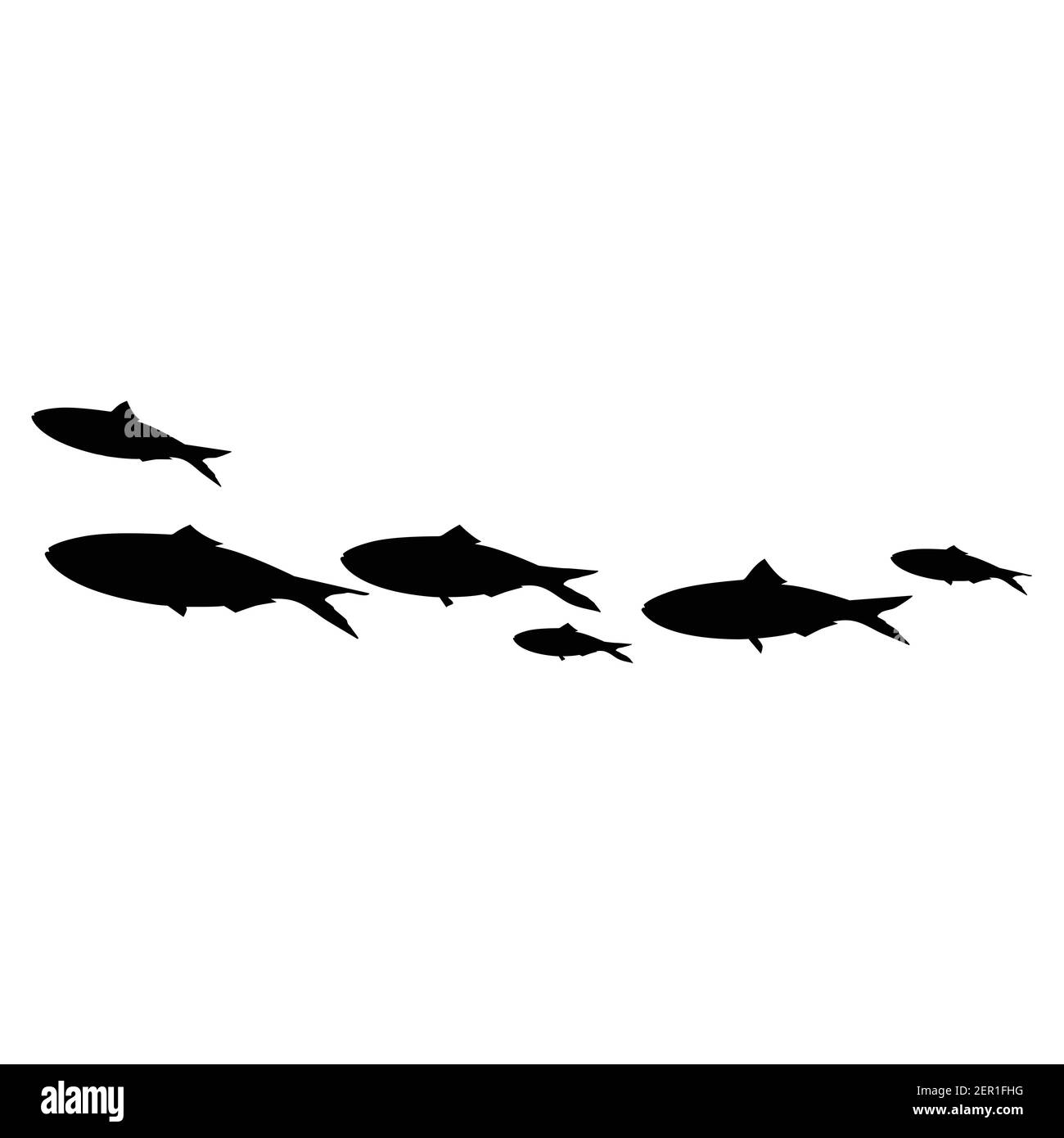 Illustration vectorielle école de natation de poissons en groupe. Silhouette noire sardines Illustration de Vecteur