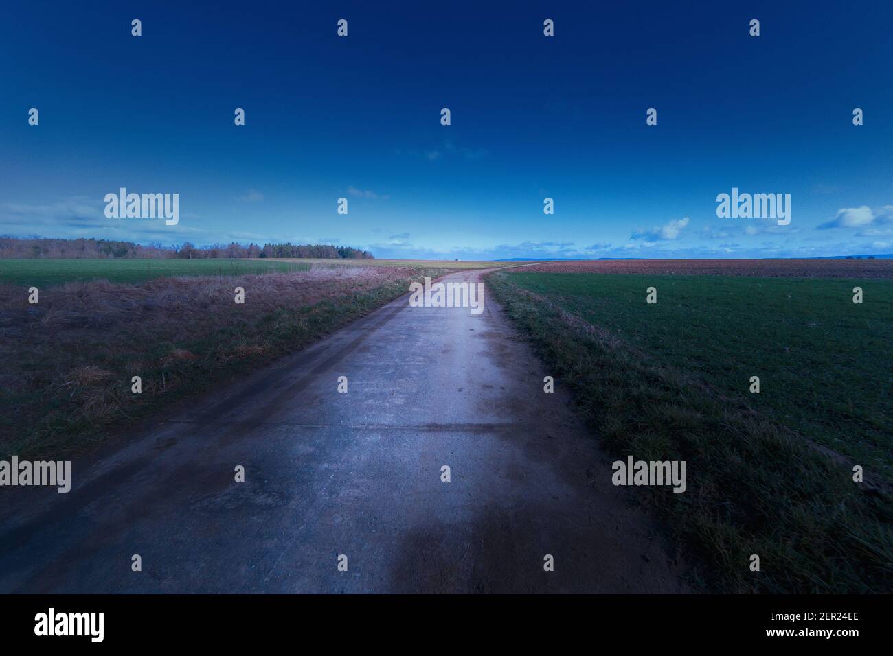 Ambiance du soir sur la route de la ferme qui mène à l'horizon. Banque D'Images