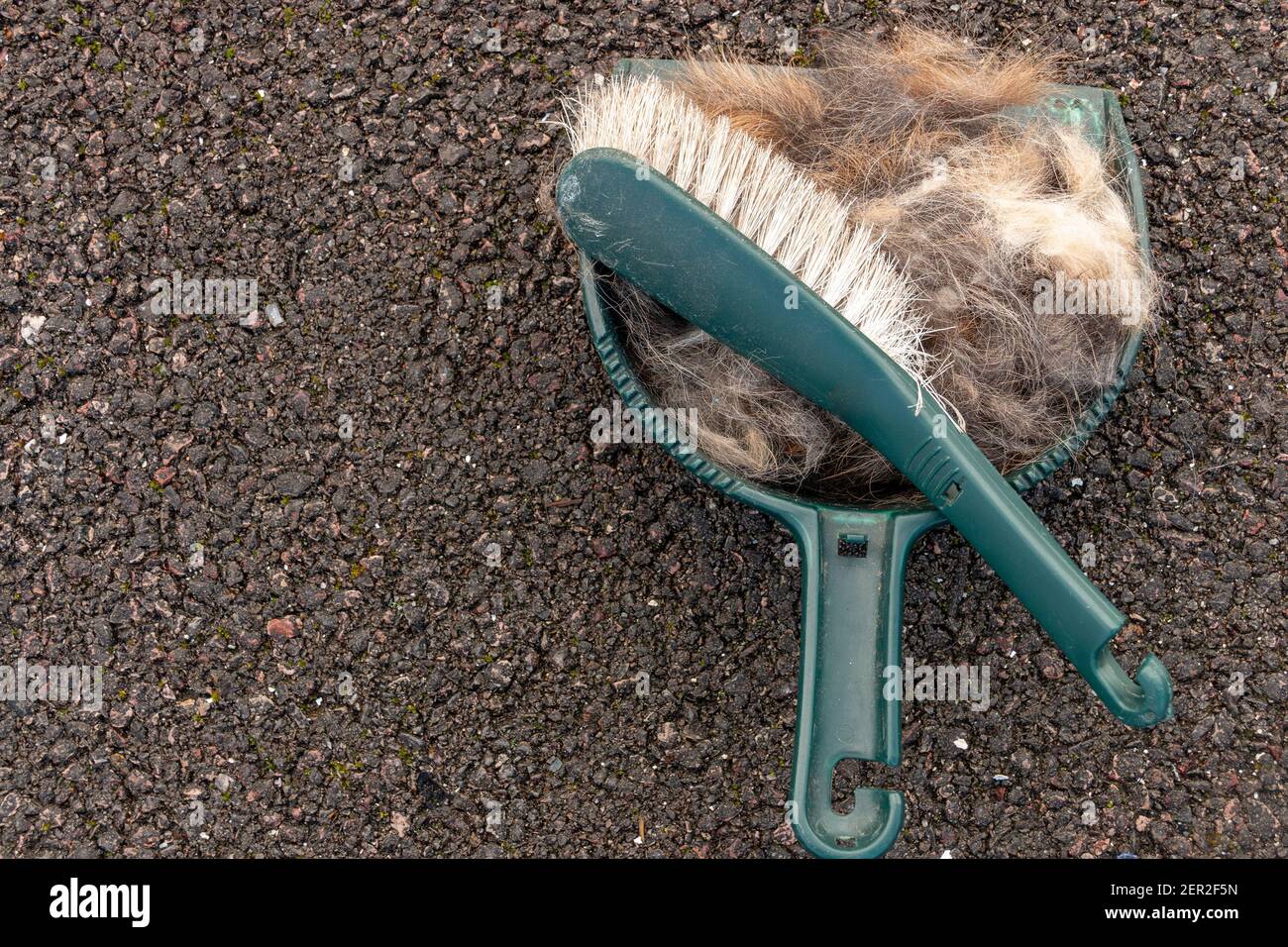 Une vue rapprochée des cheveu dans un petite casserole et brossez à l'extérieur sur la route goudronnée Banque D'Images