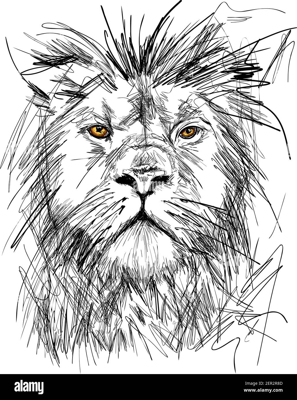 Croquis du grand portrait de lion adulte avec vecteur de manie riche Illustration Illustration de Vecteur