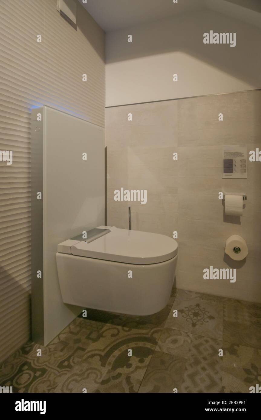 Jetez un coup d'œil dans une toilette avec douche et accessoires assortis, les murs sont recouverts de beaux carreaux brunâtres Banque D'Images