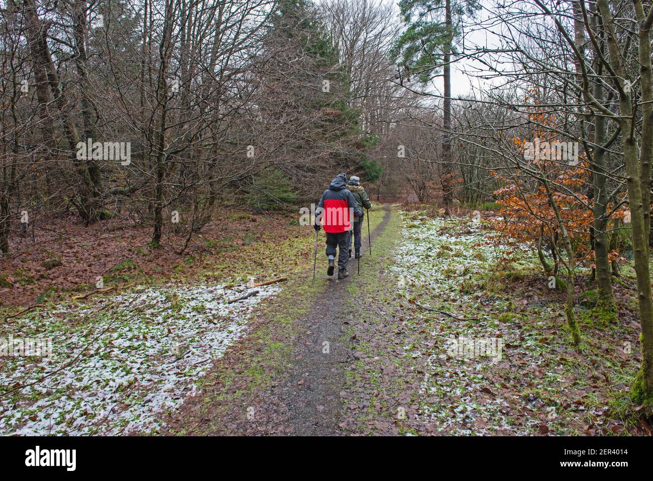 Couple de personnes âgées marchant le long d'un sentier de randonnée à travers une forêt isolée forêt dans la campagne rurale paysage en hiver Banque D'Images