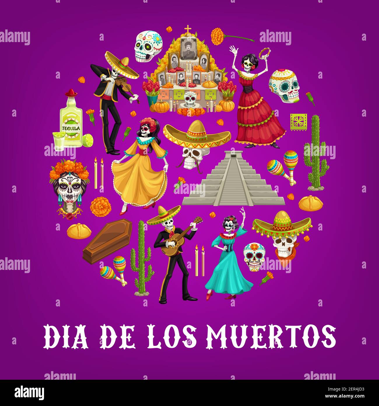 Jour du cercle mort avec des crânes de sucre vectoriels et des fleurs de marigold de Dia de los Muertos mexicain. Squelettes avec guitares, sombreros et maracas, cac Illustration de Vecteur