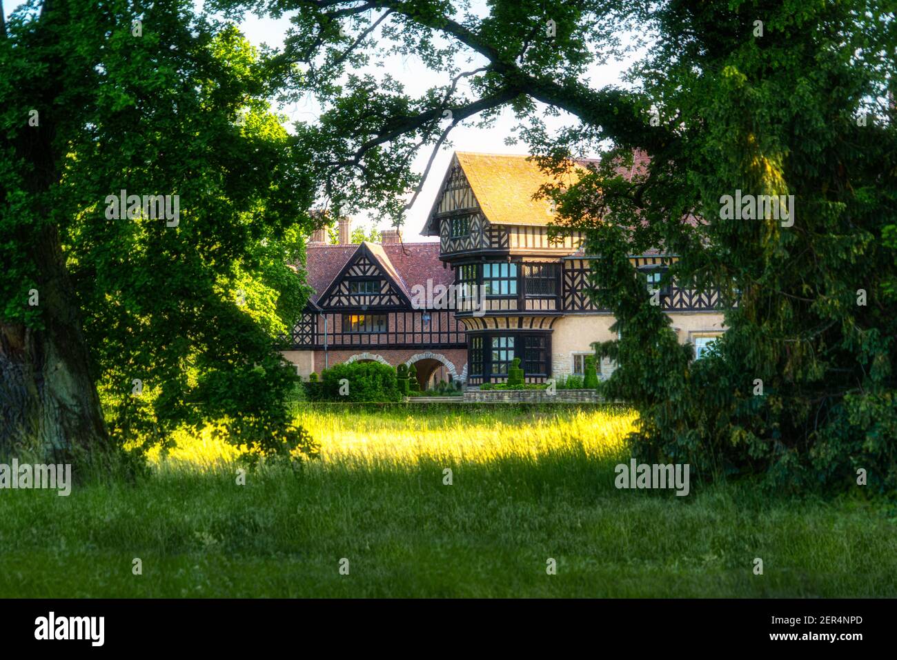 Schloss Cecilienhof im Park Neuer Garten, Potsdam Banque D'Images