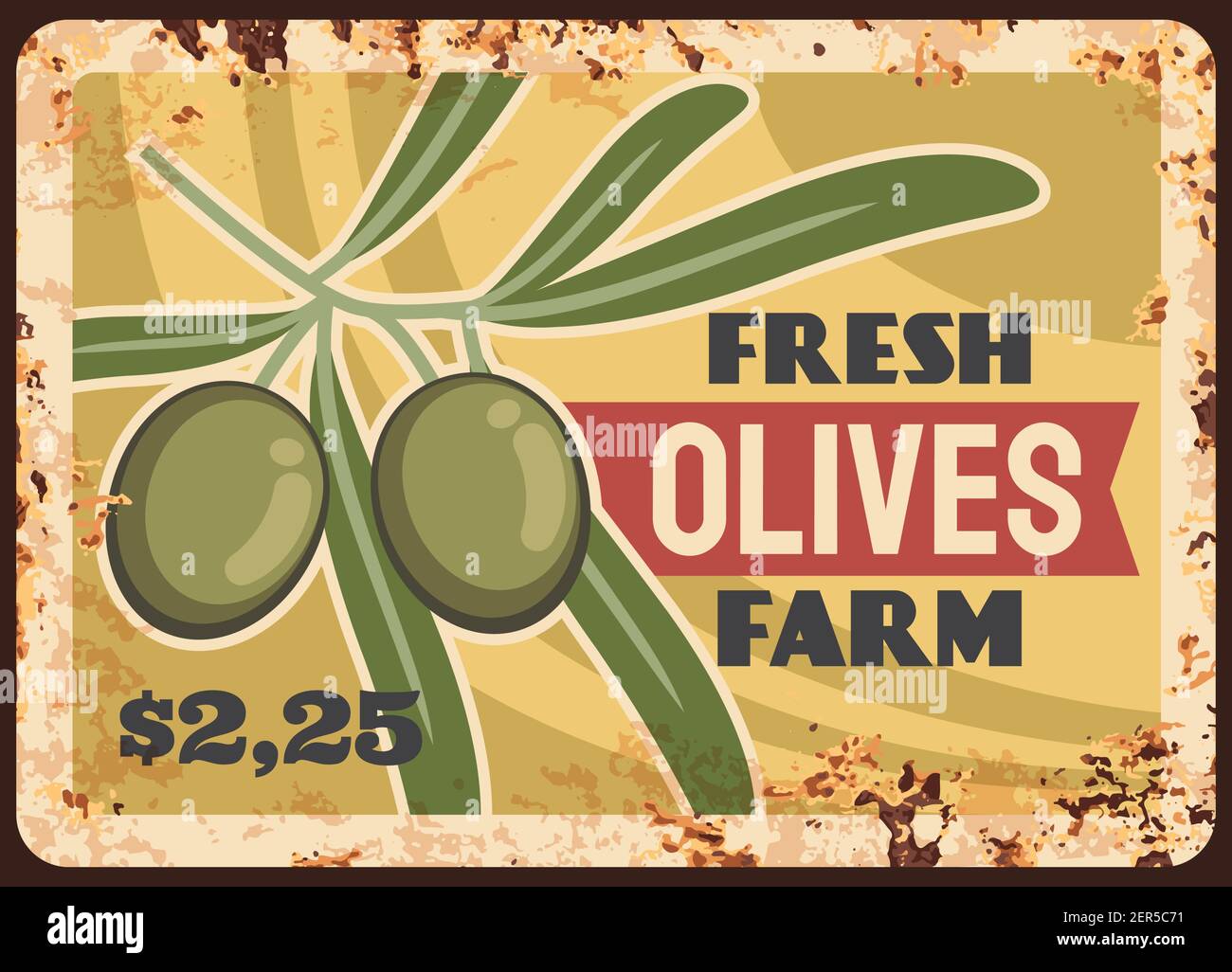 Assiette en métal rouillé pour la récolte des olives. Branche d'olivier avec feuilles et fruits mûrs vecteur de dessin animé. Agriculture naturelle, méditerranéenne agriculture rétro Illustration de Vecteur