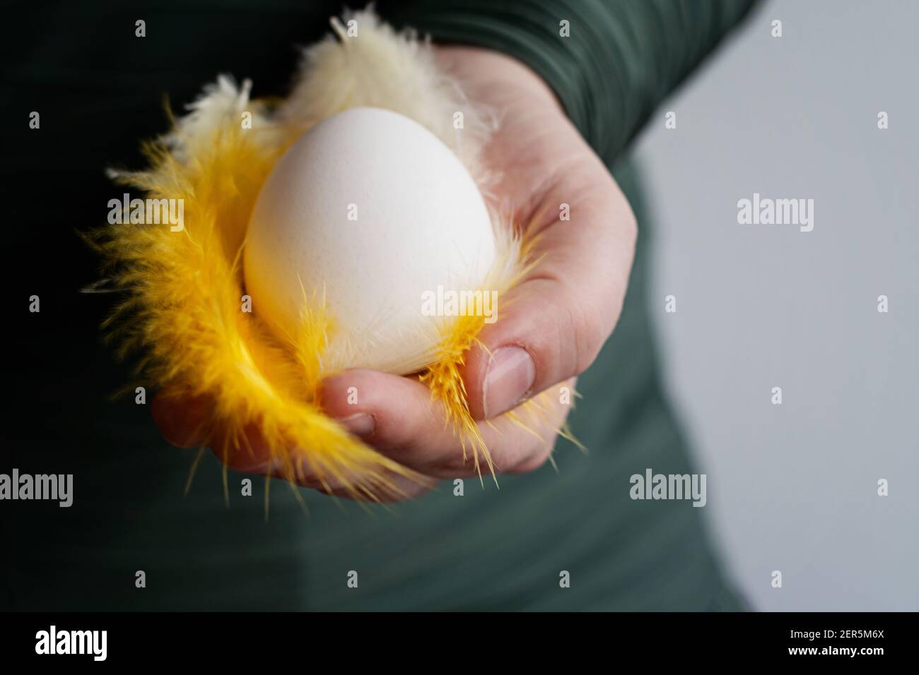 Main tenant l'oeuf de Pâques et les plumes. Main appartenant à une femme caucasienne tenant des plumes blanches et jaunes et un œuf blanc dans sa main. Banque D'Images