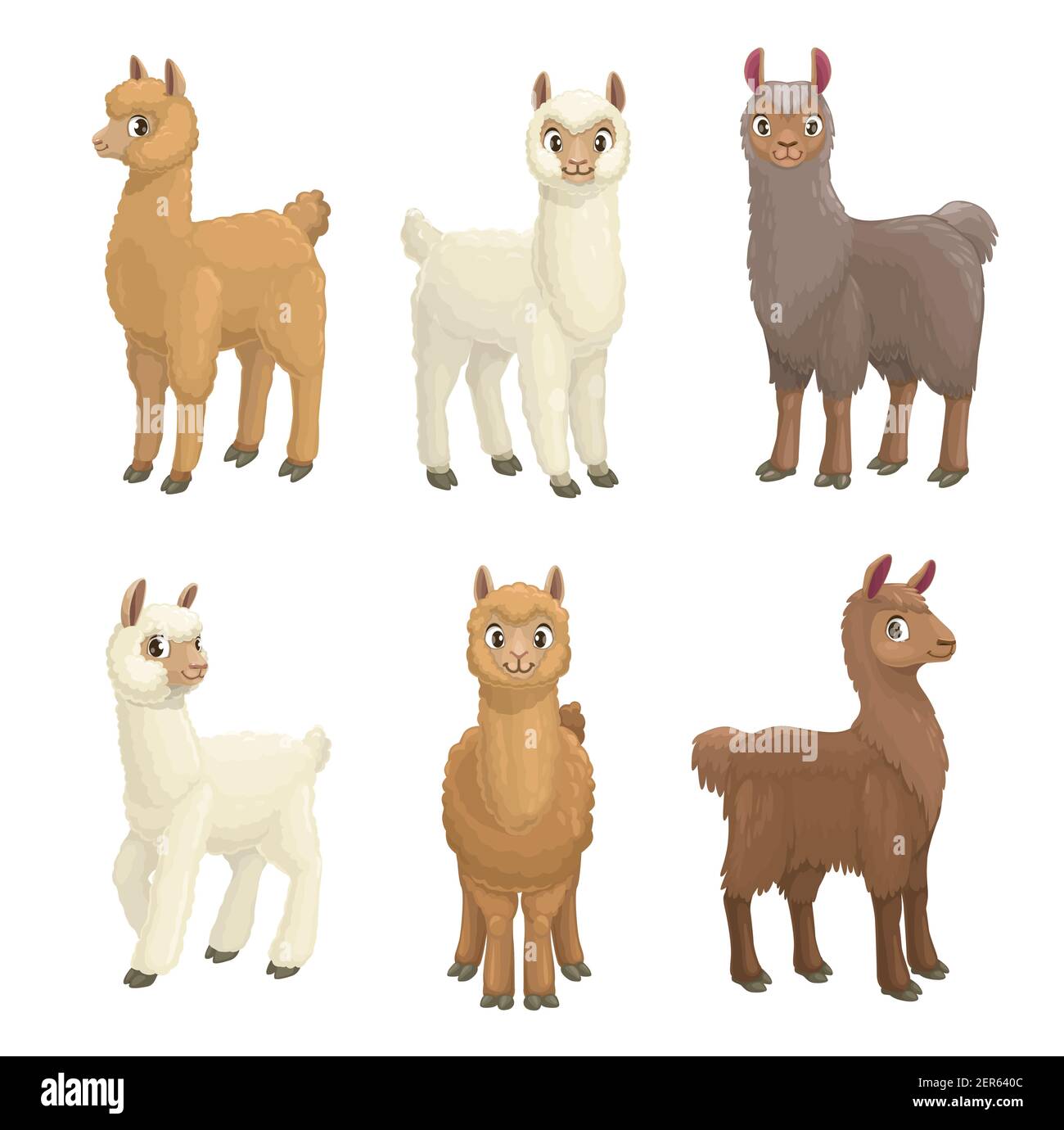 Lama, alpaga, guanaco, lama et vicuna animaux ensemble de vecteur de dessin  animé. Mammifères camélidés avec laine blanche, brune et grise, animaux de  lama de ferme mignons à la fourrure Image Vectorielle