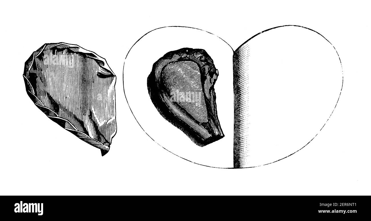 Illustration ancienne de la côtelette de veau emballée de papier. Publié dans le livre de cuisine, par Jules Goufe, Librarie Hachette et Cie (Paris, 1874). Banque D'Images