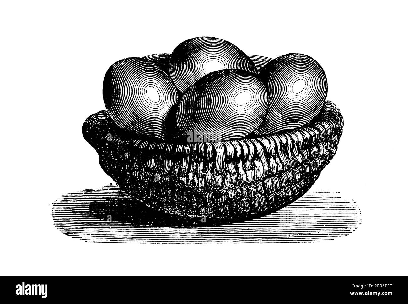 Illustration antique d'un bol en osier avec des œufs. Publié dans le livre de cuisine, par Jules Goufe, Librarie Hachette et Cie (Paris, 1874). Banque D'Images