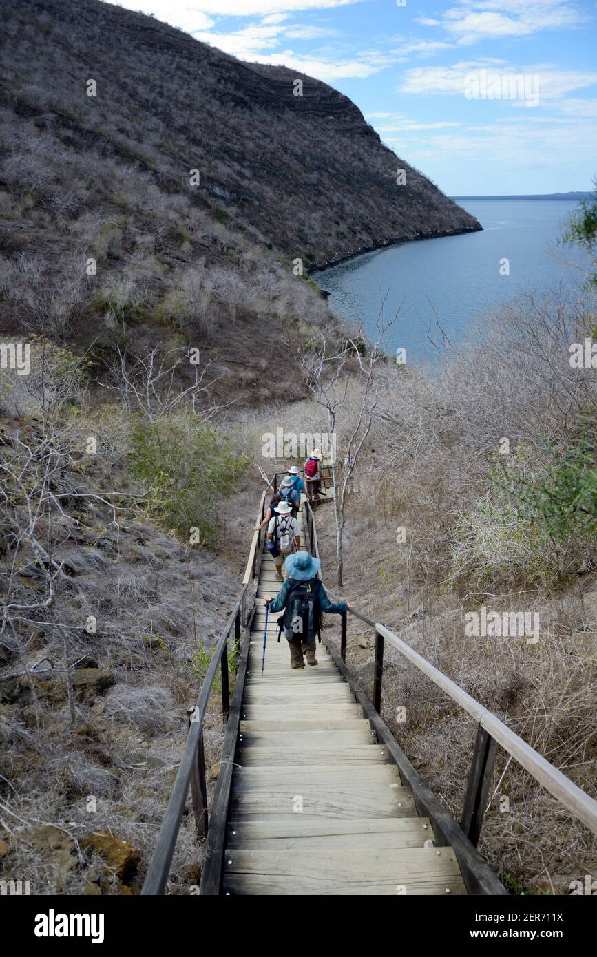 Le Tagus Cove, l'île Isabela, îles Galapagos, Equateur Banque D'Images