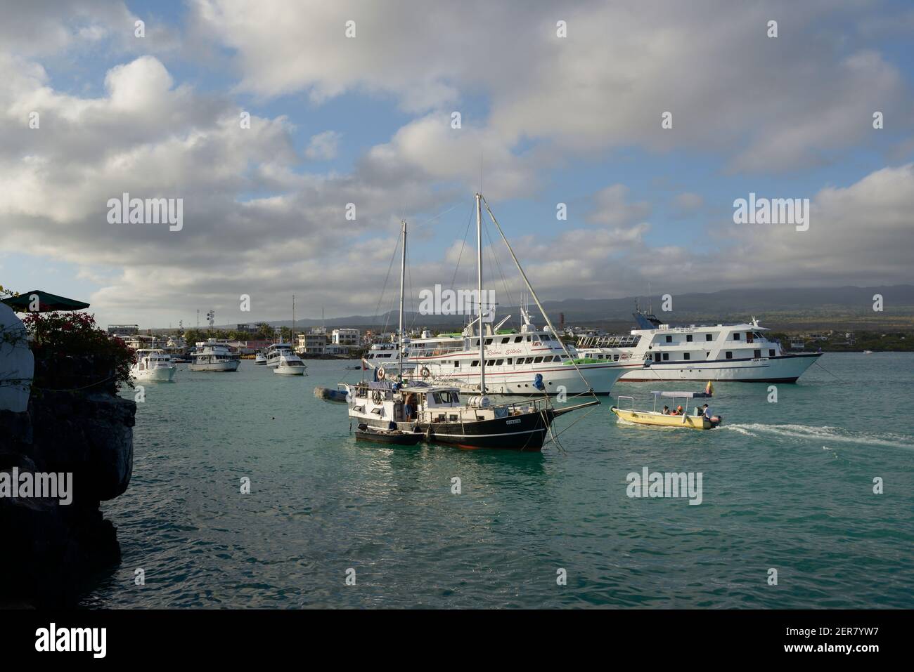 Bateaux à l'ancre à Academy Bay, île de Santa Cruz, îles Galapagos, Équateur Banque D'Images