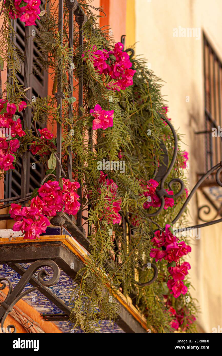 Gros plan vue isolée d'un faux balcon avec terrasse en céramique étroite et rambardes en métal sur une maison d'époque à Séville, Espagne. Il y a Mirabili rose Banque D'Images