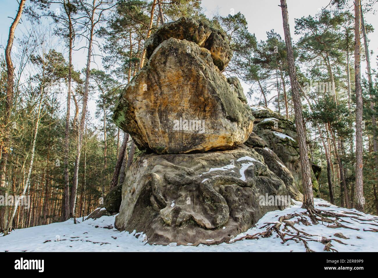 La formation de relief de roche appelée Snake, CZ avait. Sculptée dans des grès.Monumental œuvre de serpent géant dans la forêt de pins près du village de Zelizy, République tchèque.CLI Banque D'Images